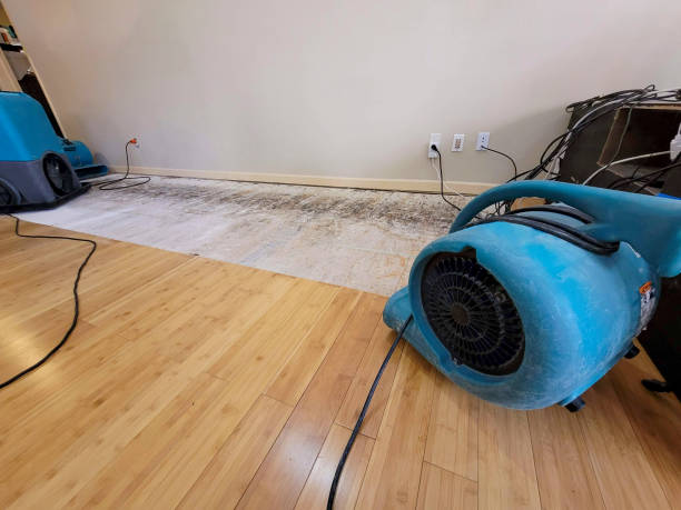 Professional Sewage Cleanup technician working in Mentone, CA